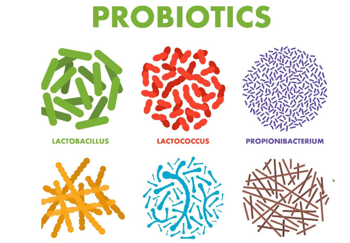 Mejores Probióticos